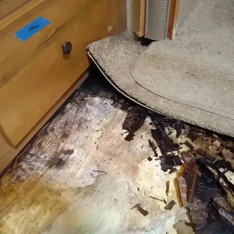 Wood Floor Water Damage in Bellwood, IL